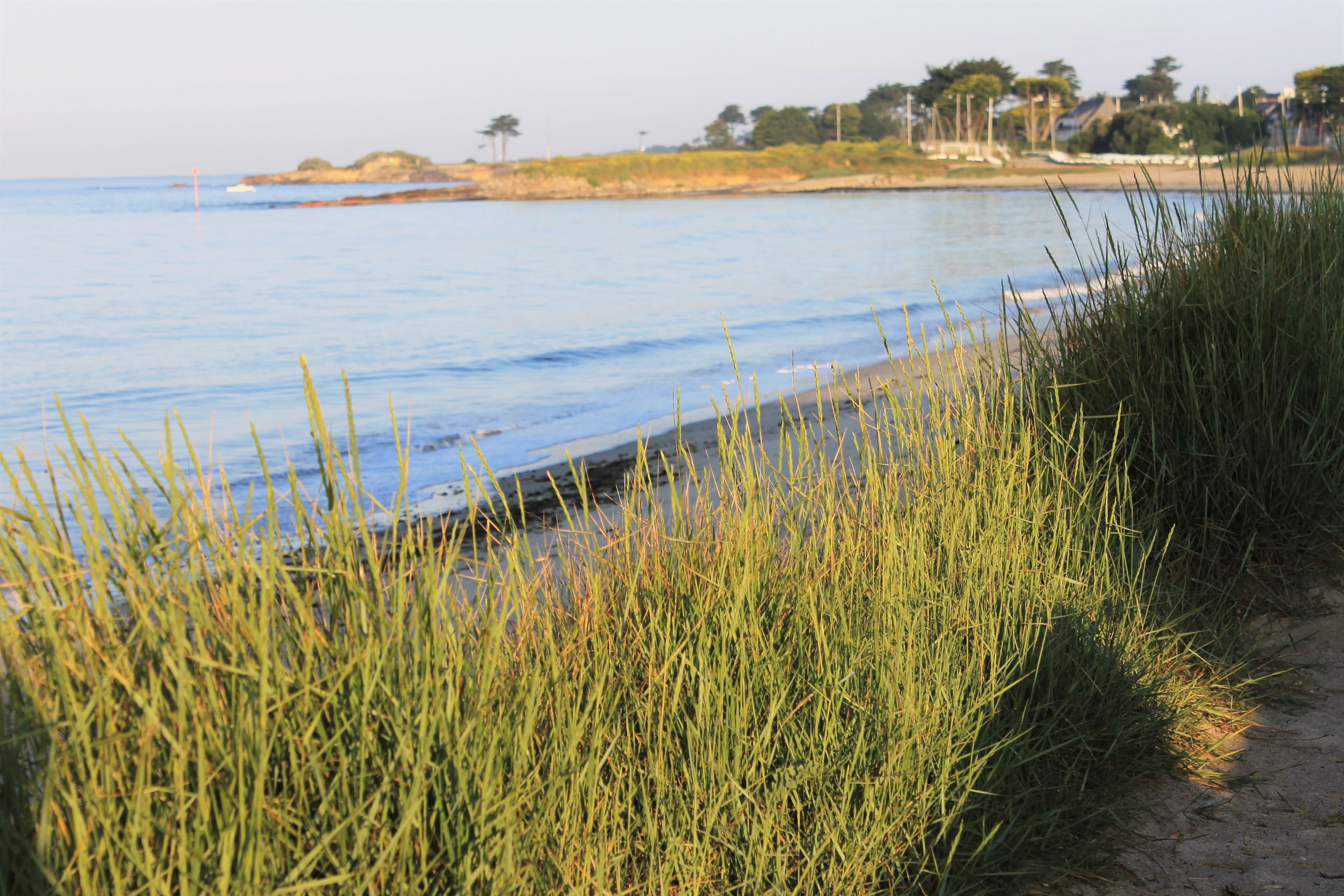 Logis Hotel & Restaurant Les Mouettes - Larmor Plage, Proche De Lorient Exterior foto