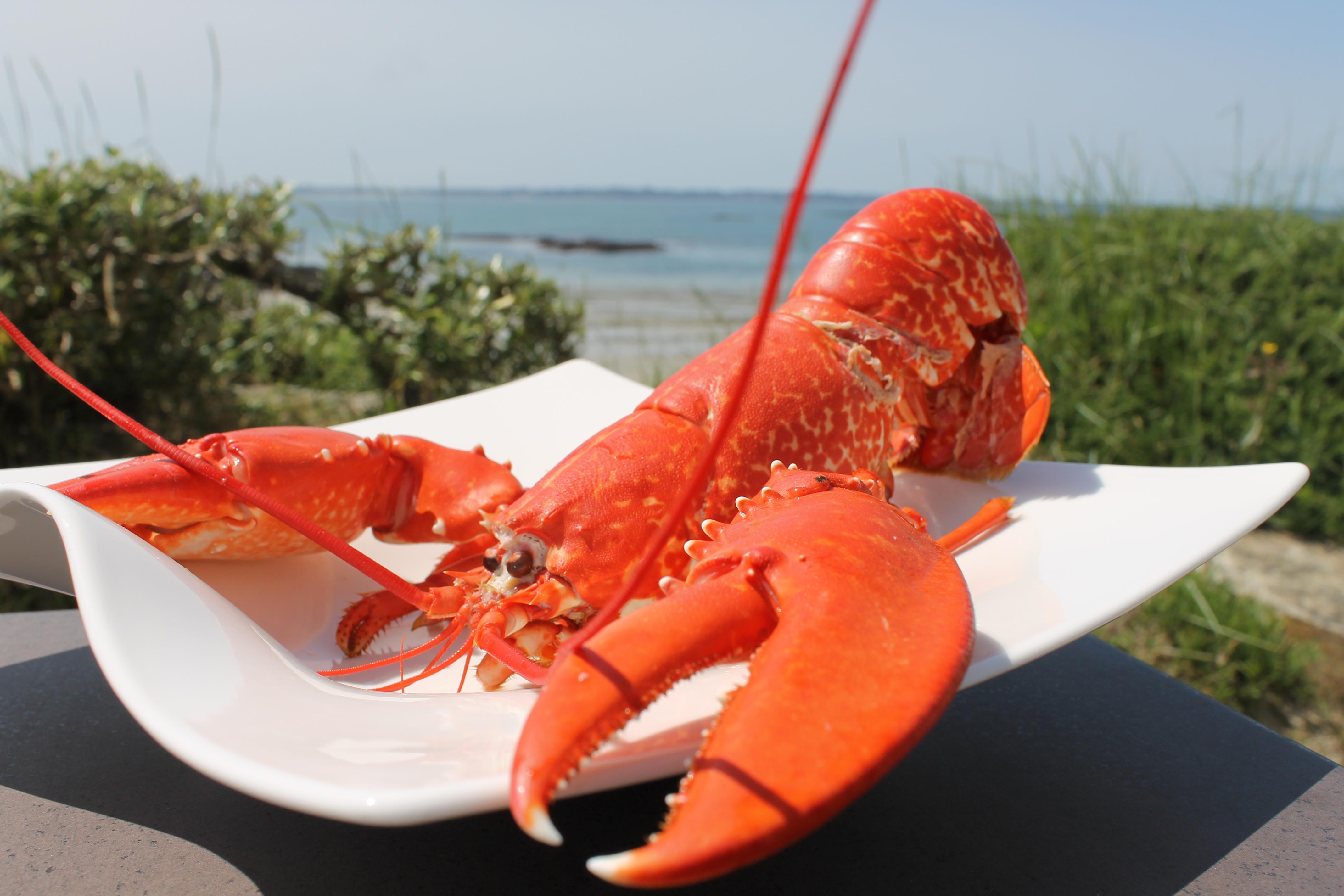 Logis Hotel & Restaurant Les Mouettes - Larmor Plage, Proche De Lorient Exterior foto